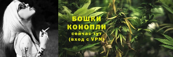 сатива Рославль