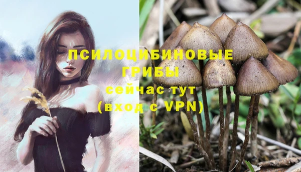 спайс Ростов